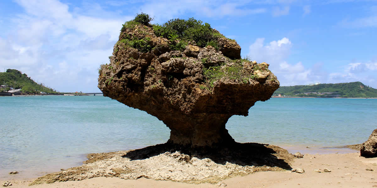 하마히가섬 패러세일링 &제트 놀이기구 무제한