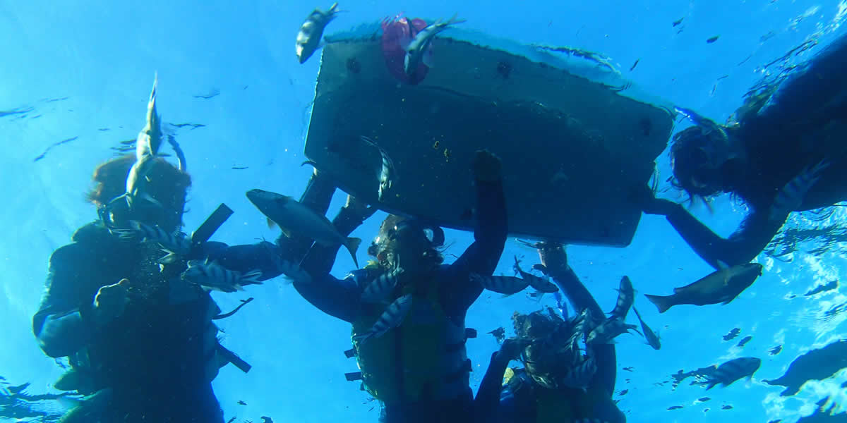 하마히가섬 패러세일링&遊び放題&스노클링