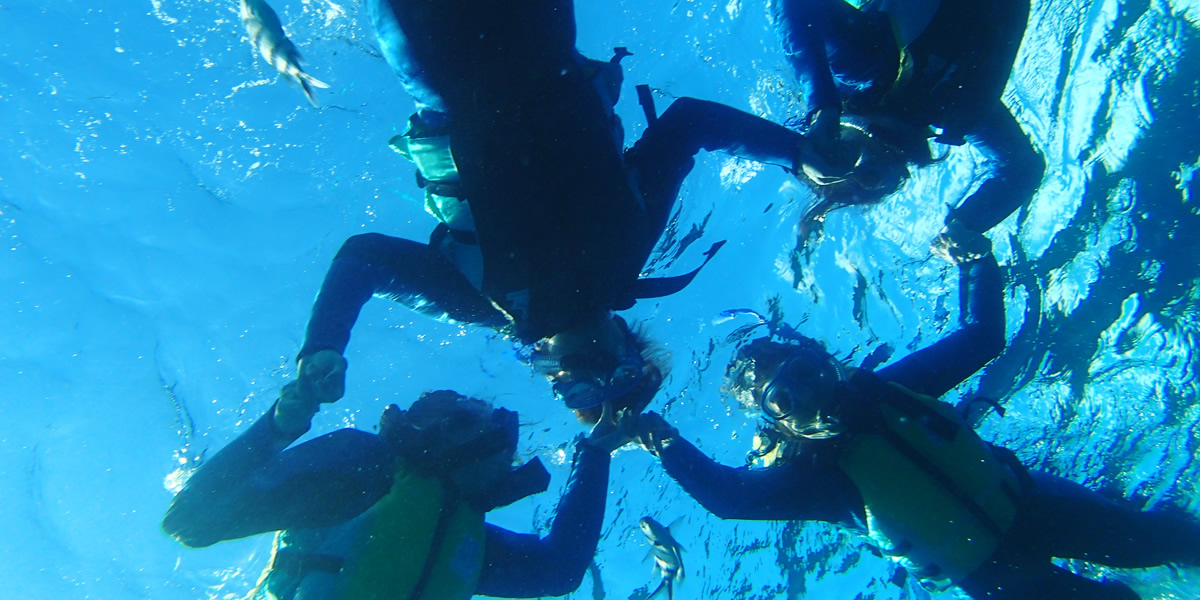 하마히가섬 패러세일링&스노클링