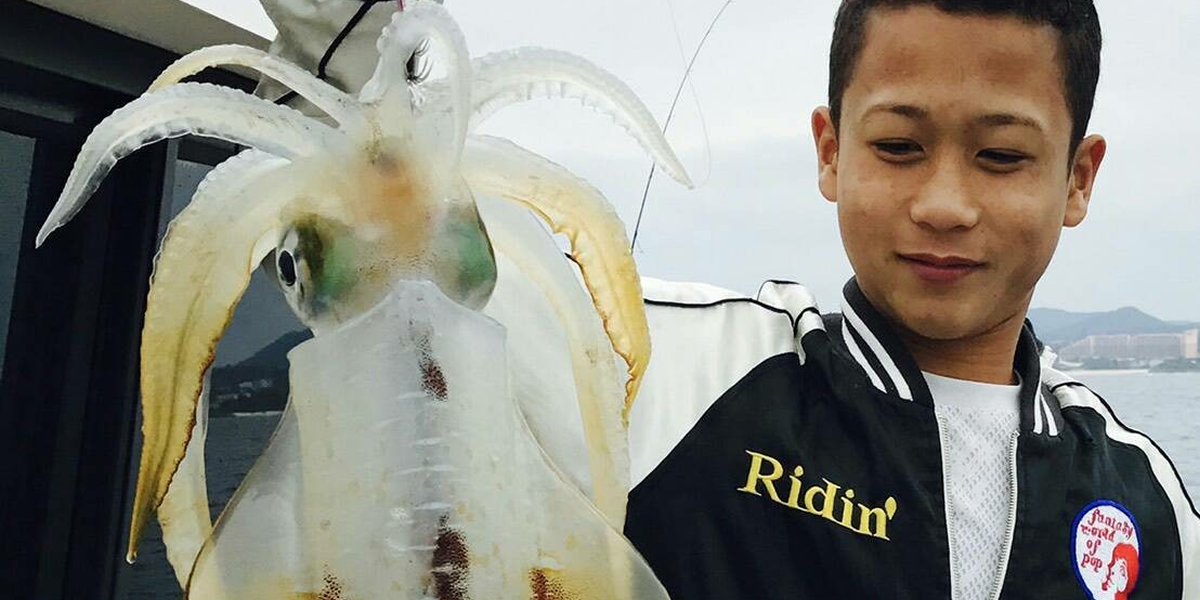 アオリイカつり上げ