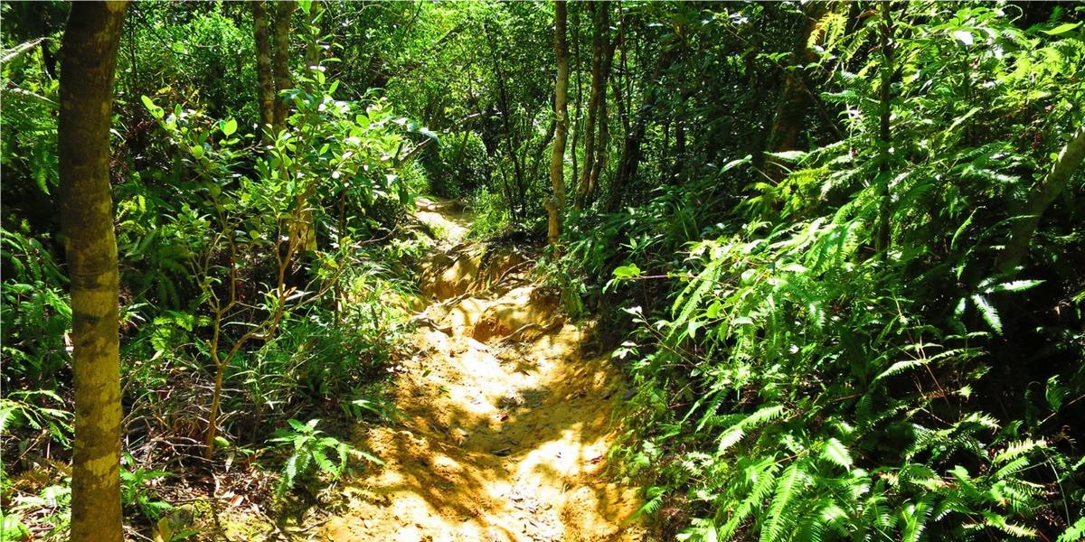 石川岳トレッキング