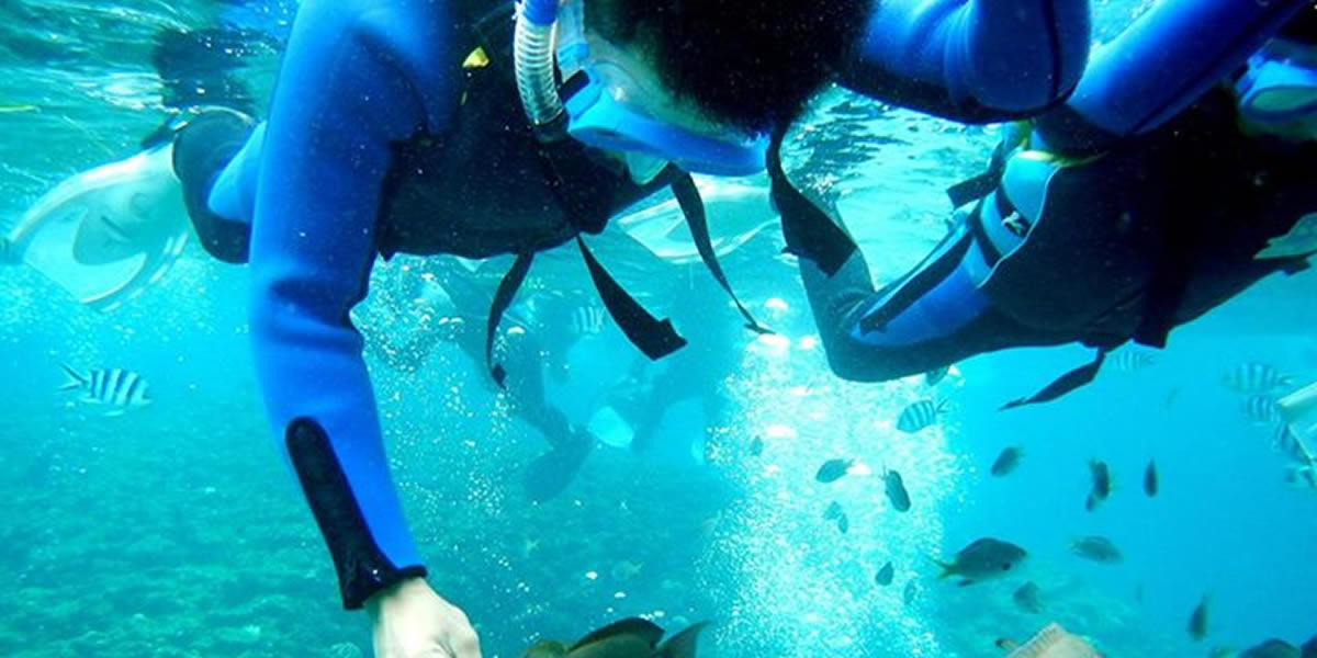 무인도 투어 코스