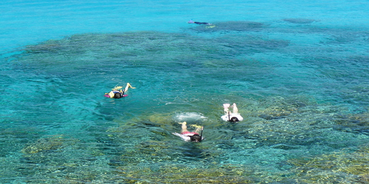 무인도 투어 코스