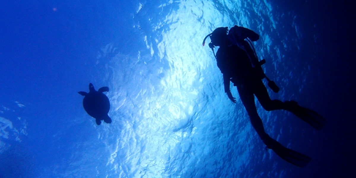 게라마제도 체험 다이빙&스노클링