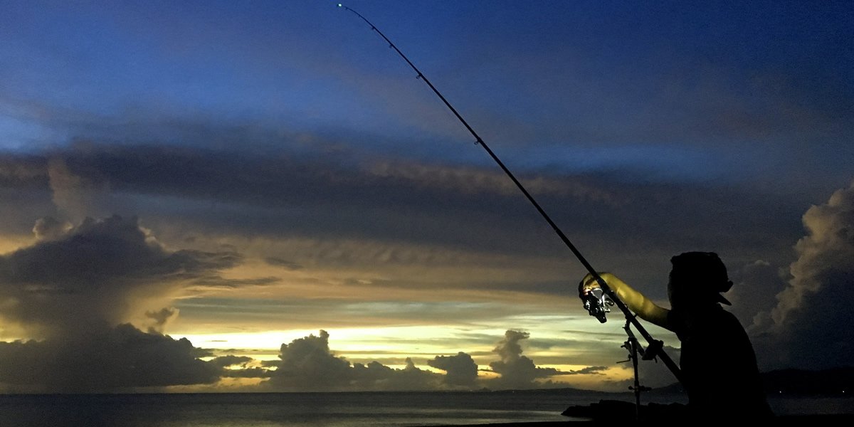 夜釣りコース