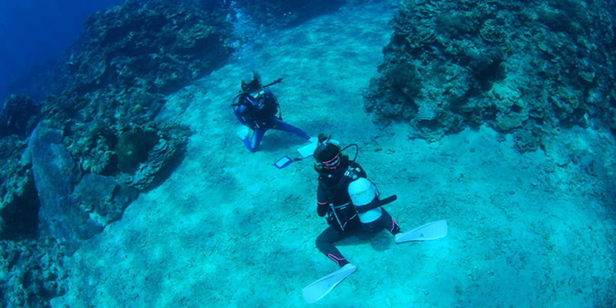 PADIライセンス取得コース