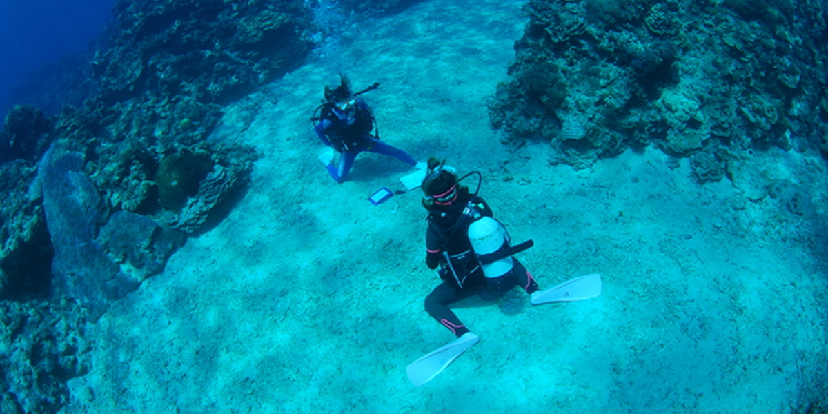 PADIライセンス取得コース