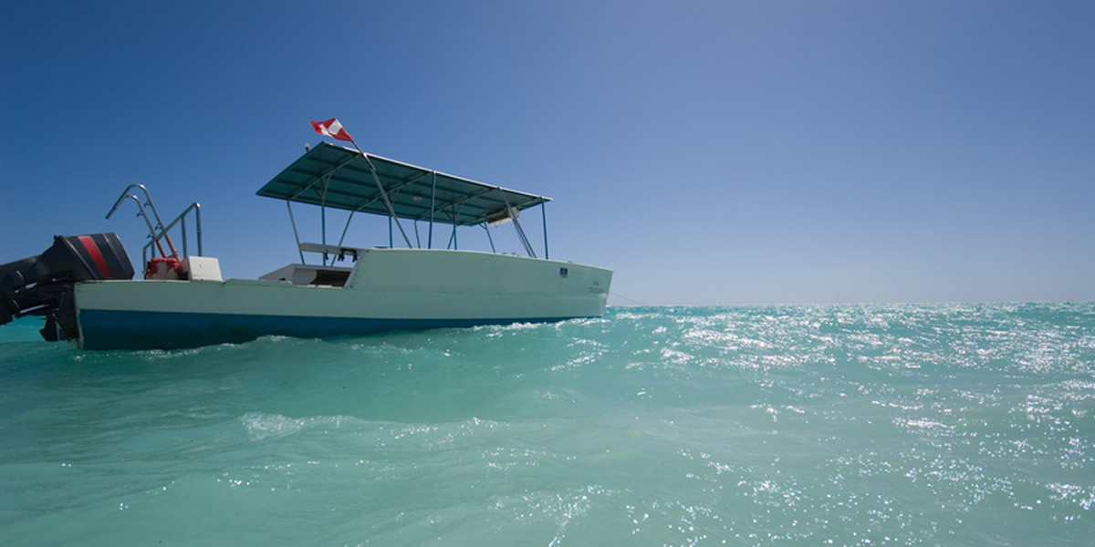 船貸し切りコース