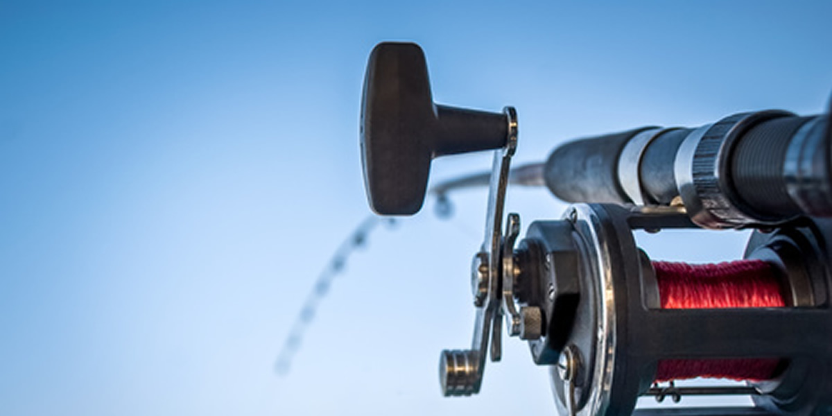 トローリング貸切コース