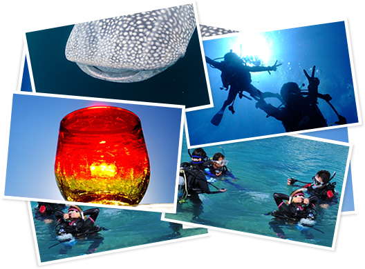 단체 예약 환영